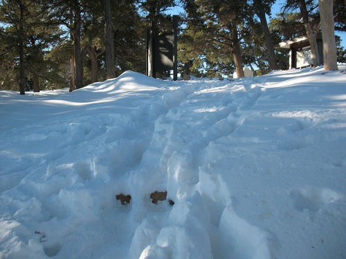 Grandview Trail in December 2009
