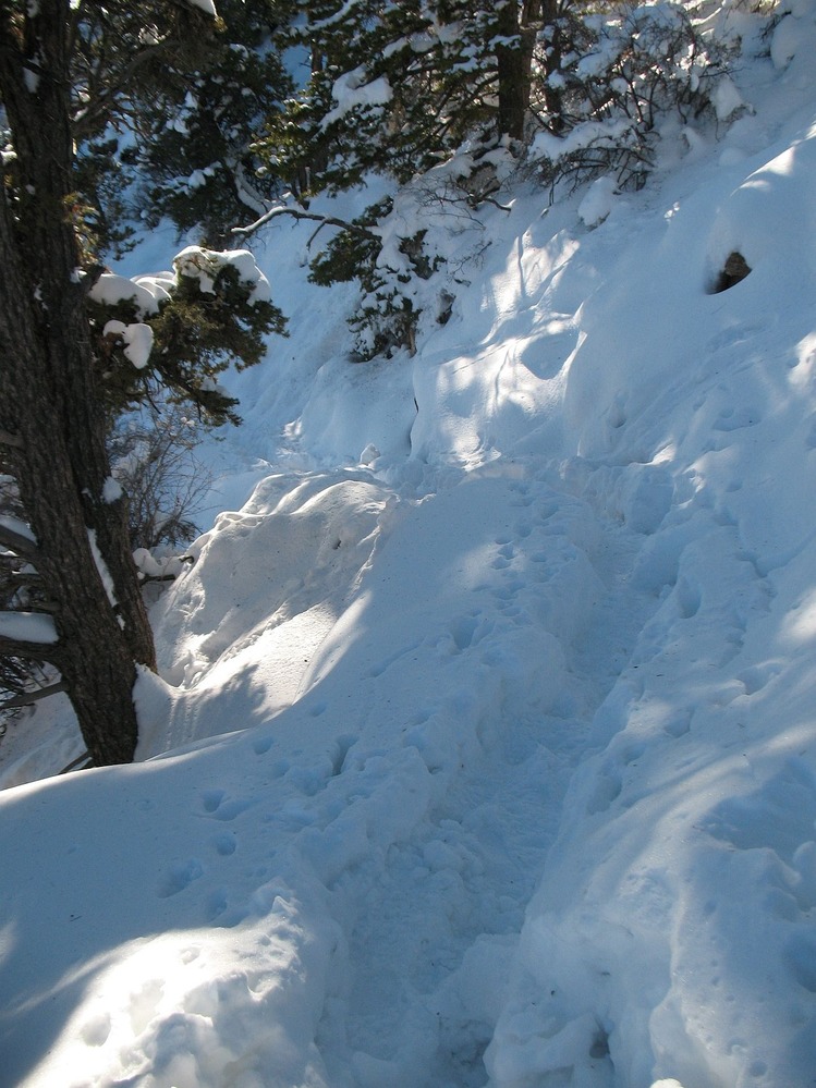 Grandview Trail in December 2009