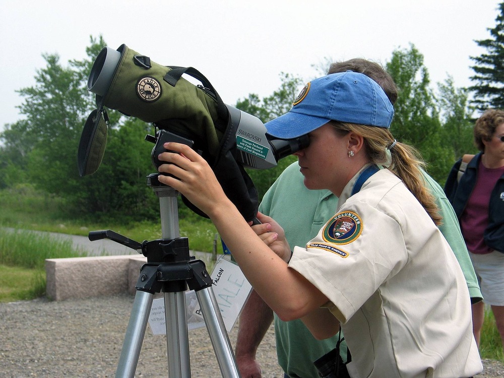 A volunteer prepares the scope that visitors will use to view peregrine falcons. The raptor volunteers usually spend from mid-May until mid-October at Acadia working with the Peregrine Watch and HawkWatch programs.