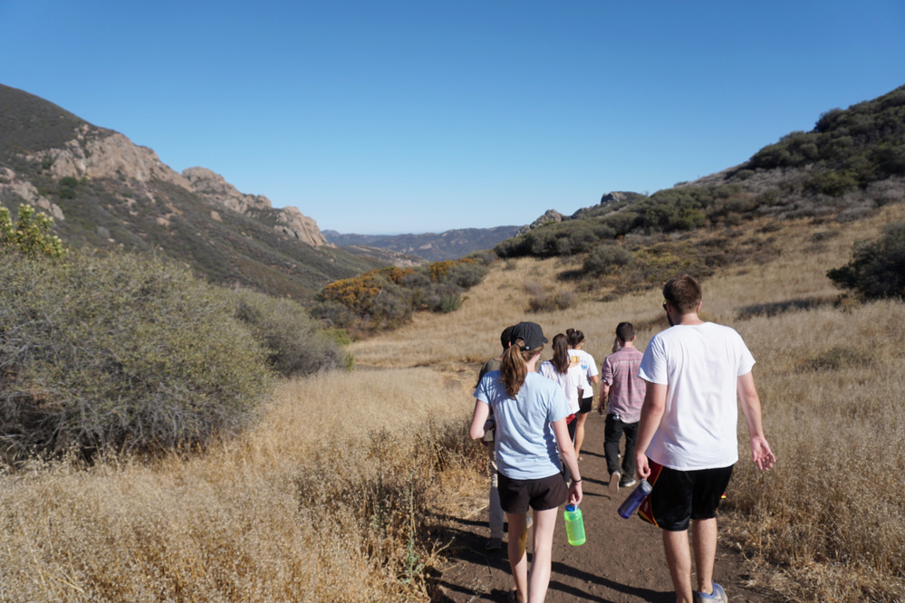 Hikers walk down a dirt trail surrounded by vegetation with mountains in the distance