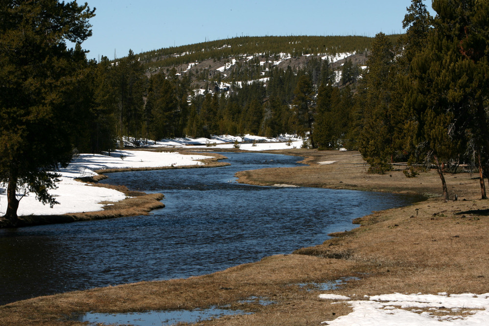 Nez Perce Creek flows with some snow on left bank, grass on the right bank and a few trees also near the bank.