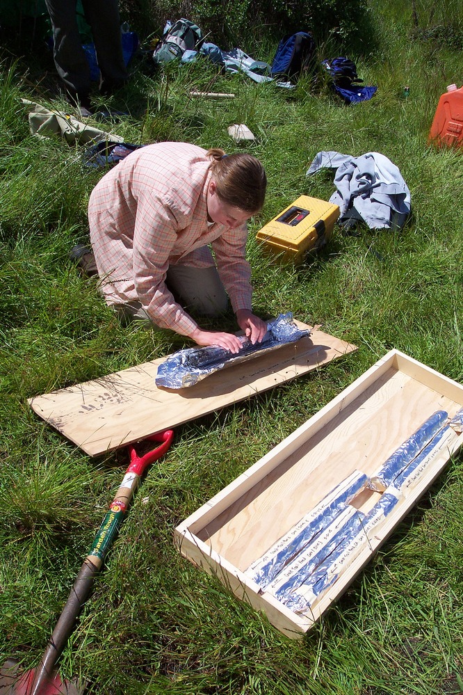 Preparing Sediment Cores: After the sediment cores are removed, they are carefully cut into sections, wrapped, labeled, and packed for transport back to the lab. The cores were 11 meters and 4 meters in length. Carbon dating techniques on the charcoal fragments indicate the longer core represented 3,100 years of time, while the shorter core represented 7,000 years of time. The length of the core is not necessarily related to time. It reflects how much runoff and erosion occurred in the two places.