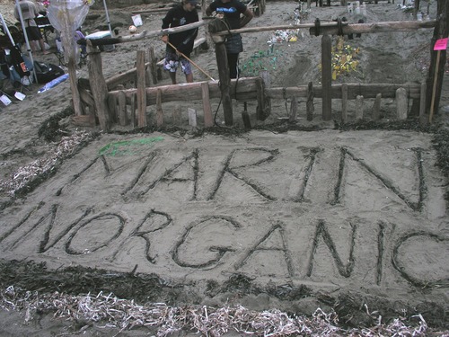 2006 Sand Sculpture Contest: Best Use of Plastic Award Winner: Entry #9 Marin Inorganic by Kathleen Huntington and Eco Friendly Gardeners, Detail of Sign