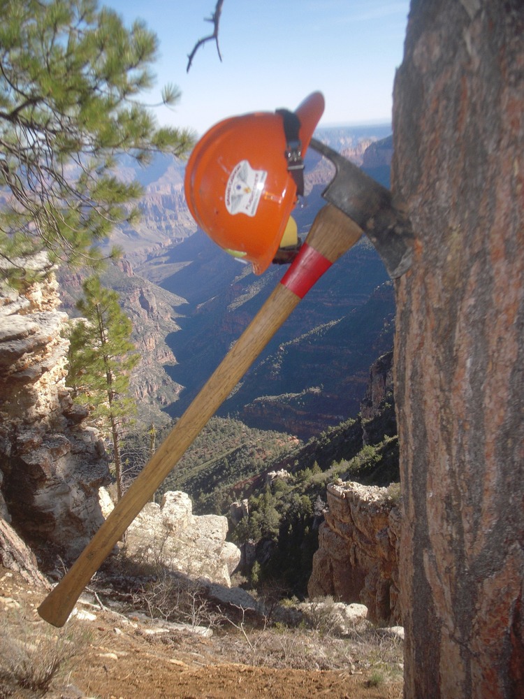 Canyon in the background