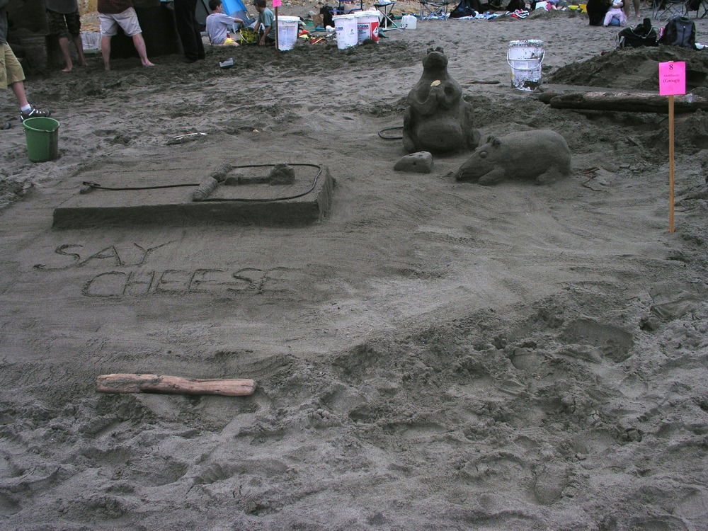 2006 Sand Sculpture Contest: Adults' Group Entry #08: Say Cheese by the Stompe Family