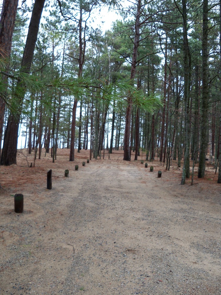 Twelvemile Beach Campground site 9, 42 feet, sandy