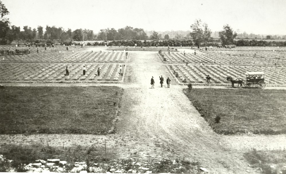 Cemetery 1865 - NARA