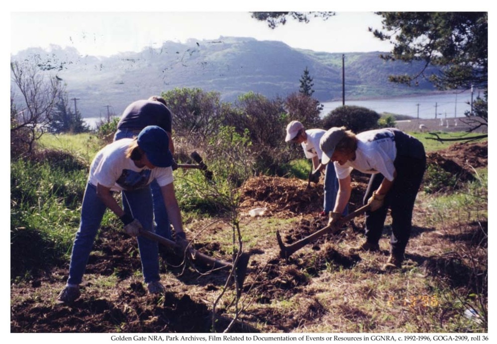 Planting native vegetation at Rodeo Lagoon, 1996.