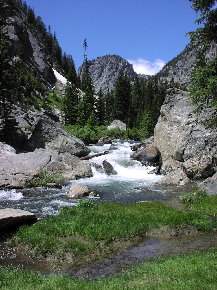 Creek flowing in Death Canyon along trail.
