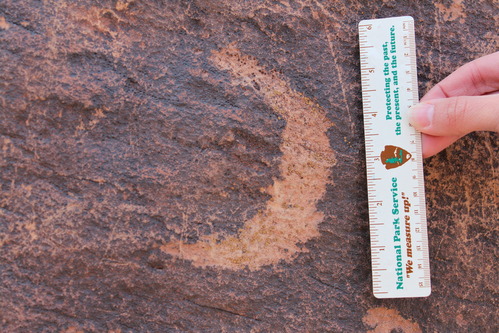 petroglyph at Newspaper Rock