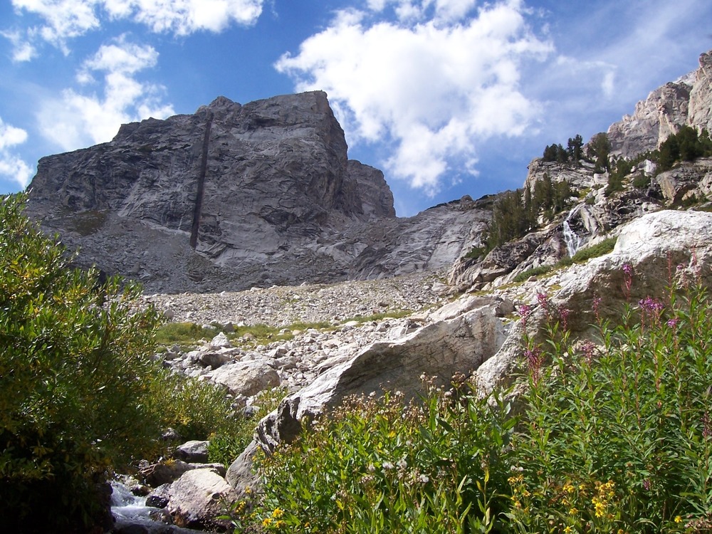 Middle Teton from Garnet Canyon Trail with fireweed in bloom and creek.