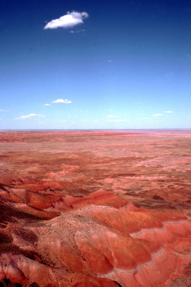 Scenics - Petrified Forest National Wilderness Area from Pilot Rock