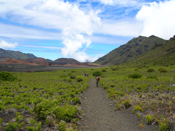 A straight, sandy trail is a cleared path through low vegetation on the flat crater bottom.