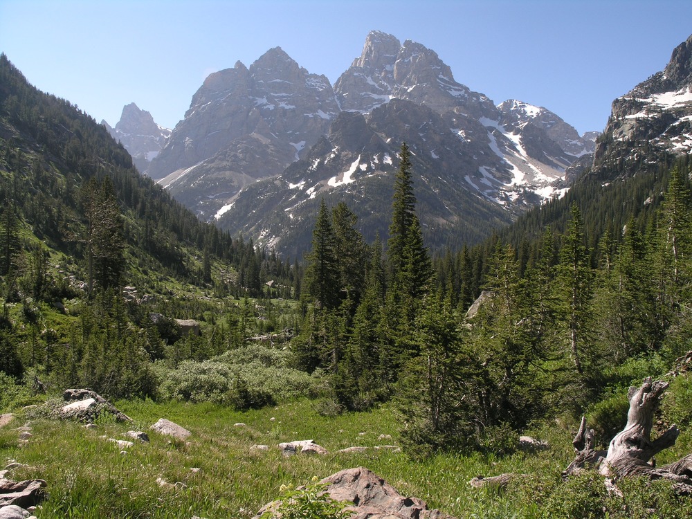 north fork cascade canyon, meadows, Grand Teton