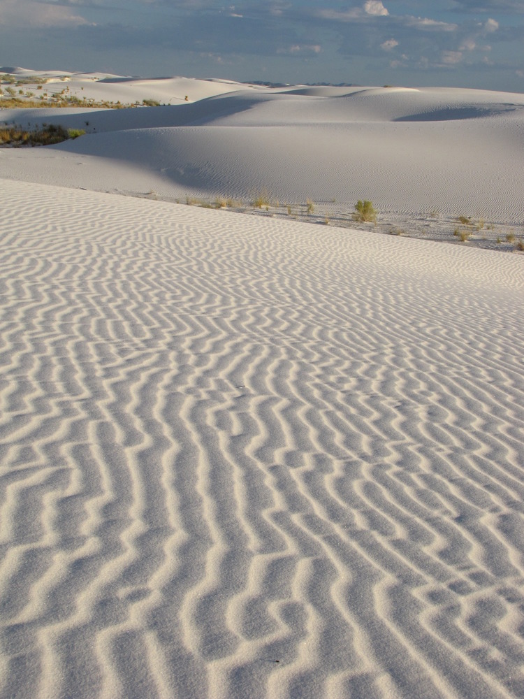 Ripples on the surface of a sand dune.