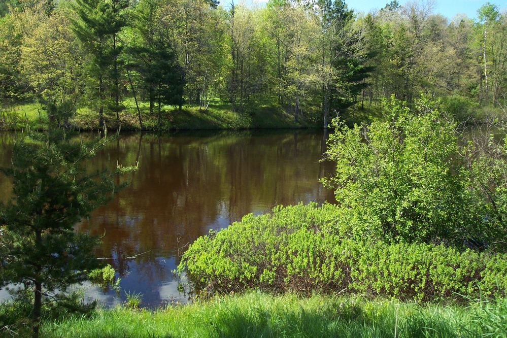 River at landing across from Namekagon Visitor Center. This can be used as a take out point if one doesn't wish to canoe through the flowage created by the Trego dam