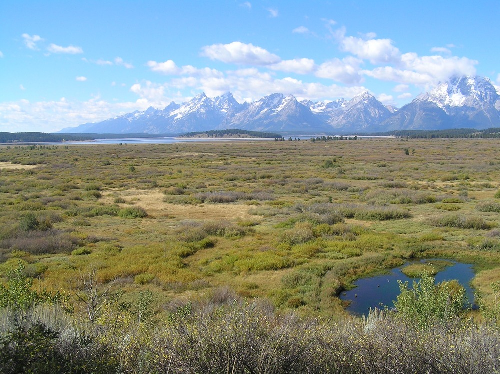 Willow Flats, Jackson Lake, Teton Range