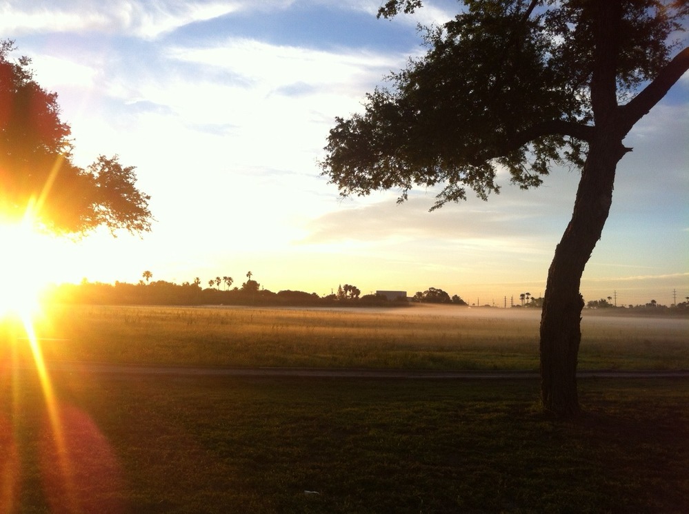 Sunrise and thin layer of fog at Resaca de la Palma Battlefield