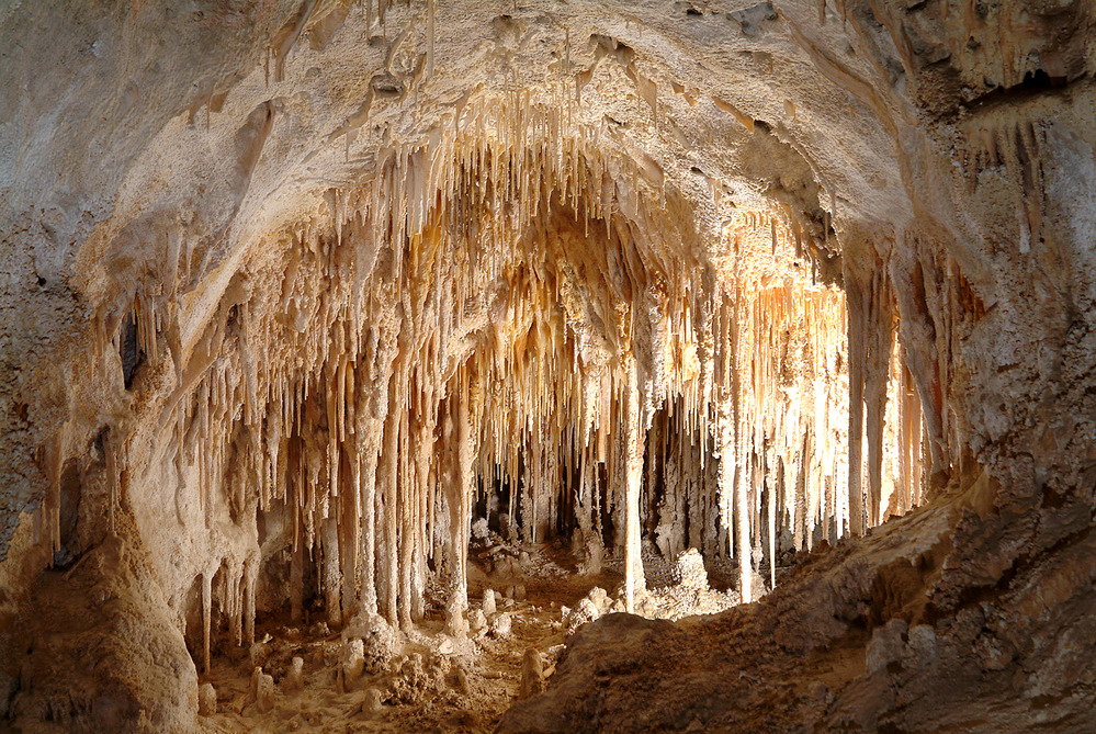 A large amount of soda straw stalactites hang from a small cavity