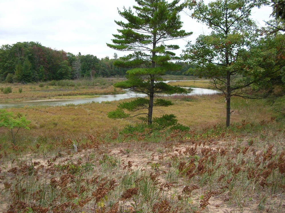 Platte River meandering through Platte Plains toward Lake Michigan.