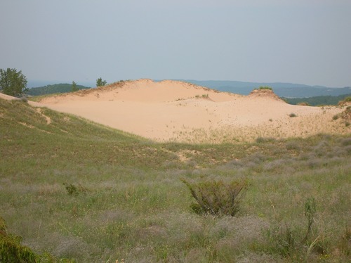 Dune blow-out on the Cottonwood Trail