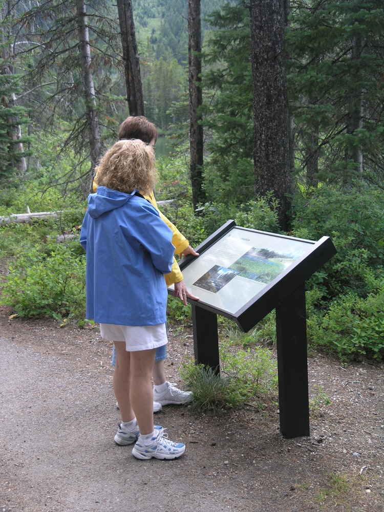 Visitors at Wayside Sign in forest