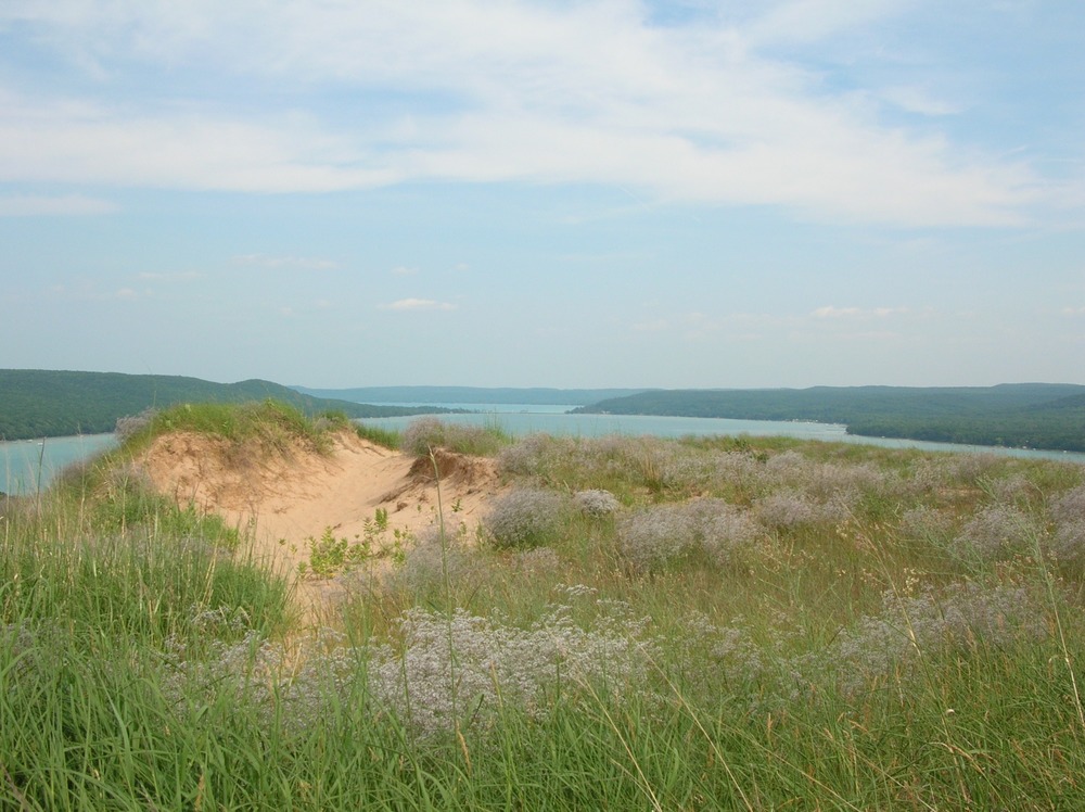 View of Glen Lake and a perched dune with dune grass and baby's breath in the foreground from the Cottonwood Trail.