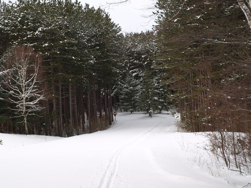 Cross Country Skiing on Pierce Stocking Scenic Drive.