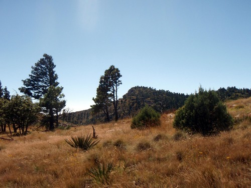 View of the northeast flank of Hunter Peak as seen from Frijole Ridge.