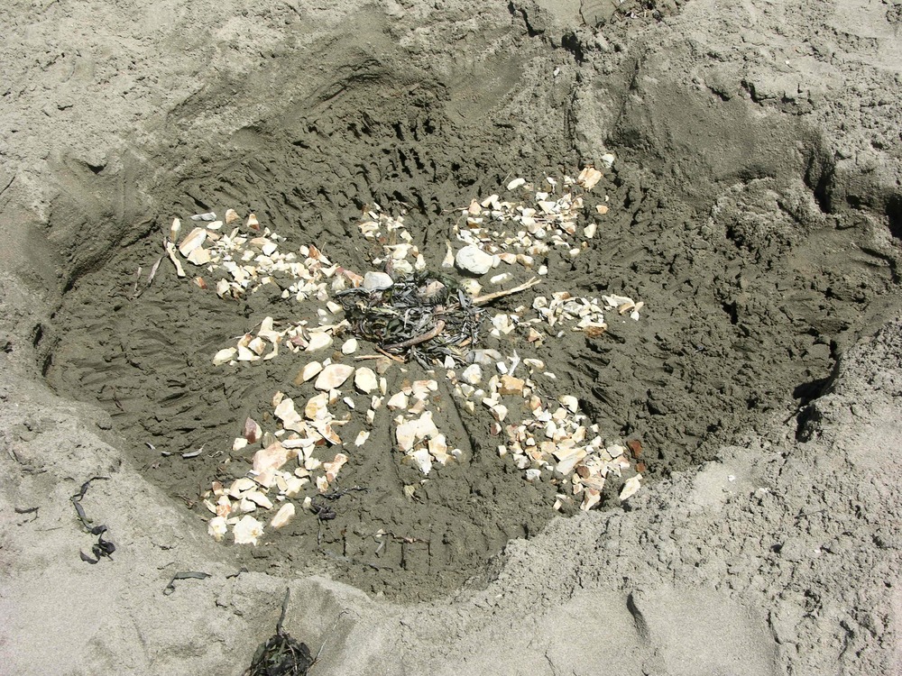 2008 Sand Sculpture Contest: Adult Individual Entry #03: Sand Flower, by Louis Nguygen