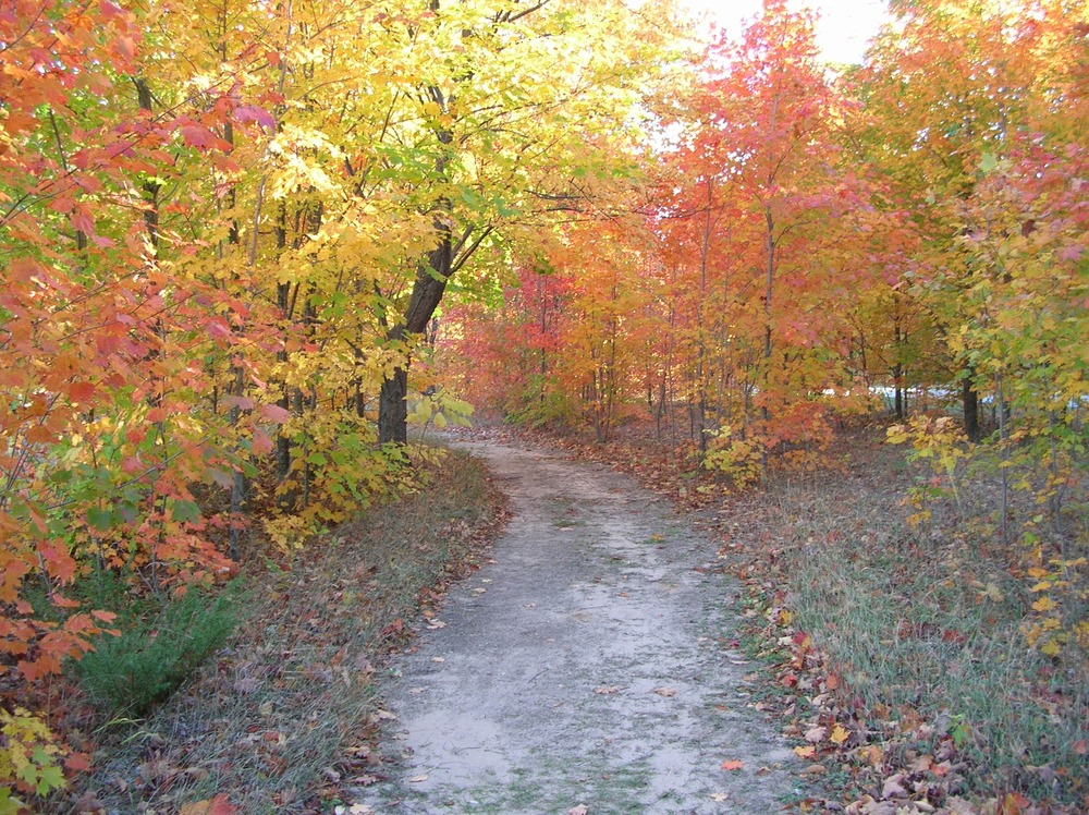 Fall colors along the Windy Moraine Trail.