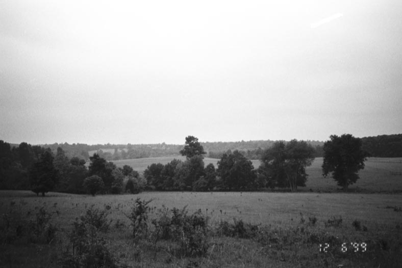 The gently-rolling landscape of grassy fields is occasionally interrupted by rows of leafy trees.