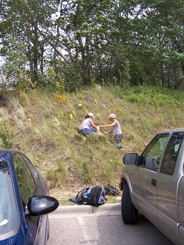 Jenn and Desiree sampling at Platte River for a study of the Effects of Fungal Symbionts on the success of plant invasions. Photo shows taking samples.