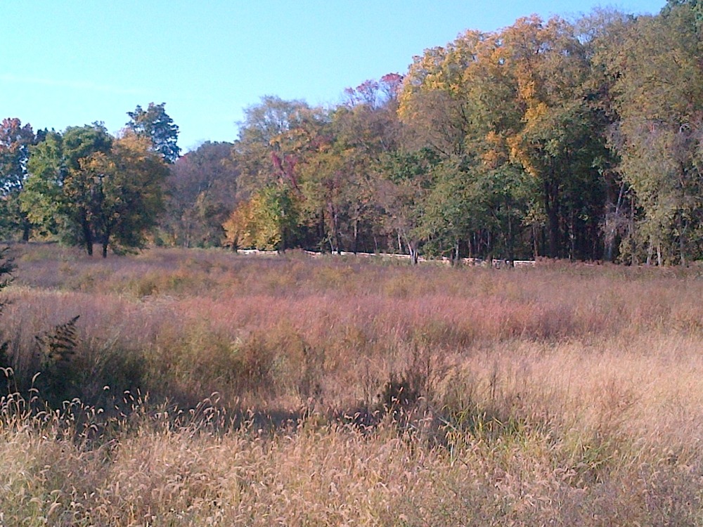 SPFromEast_2012-10-16 (3)