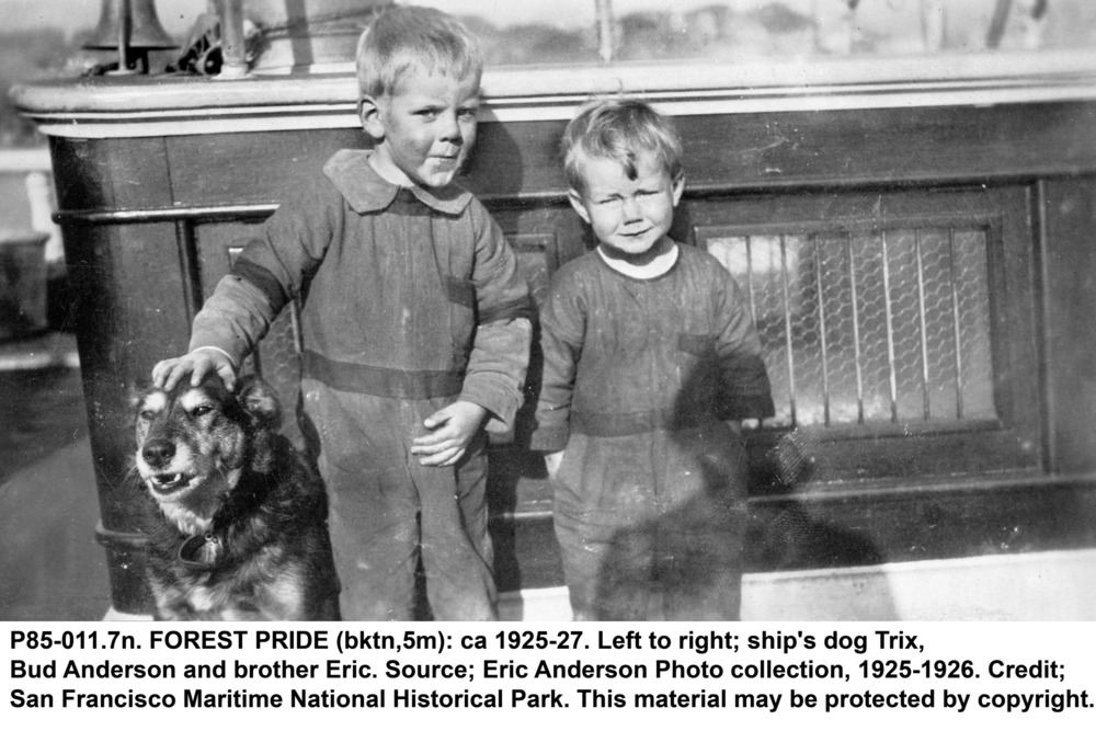 Ship's dog Trix, Bud Anderson and brother Eric aboard the barkentine FOREST PRIDE, ca 1925-1927. NPS SAFR P85-011.7n