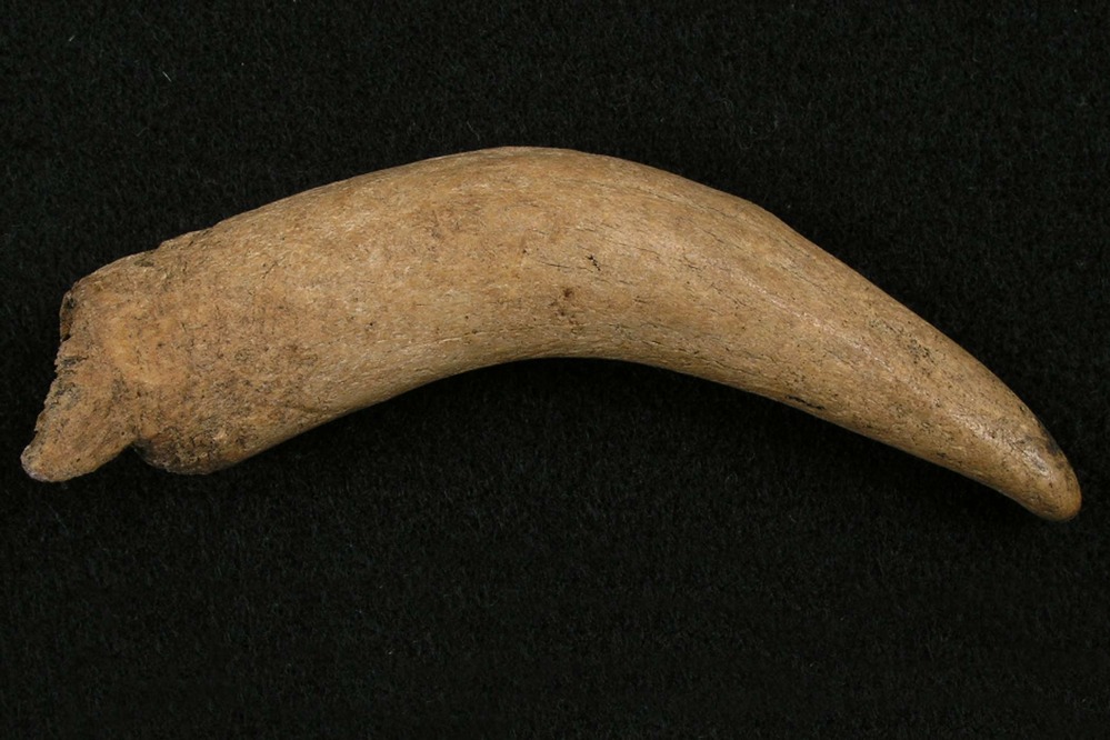 PORE 2225 Antler Flaker