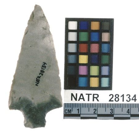 NATR   28134 -- Ledbetter Cluster projectile point