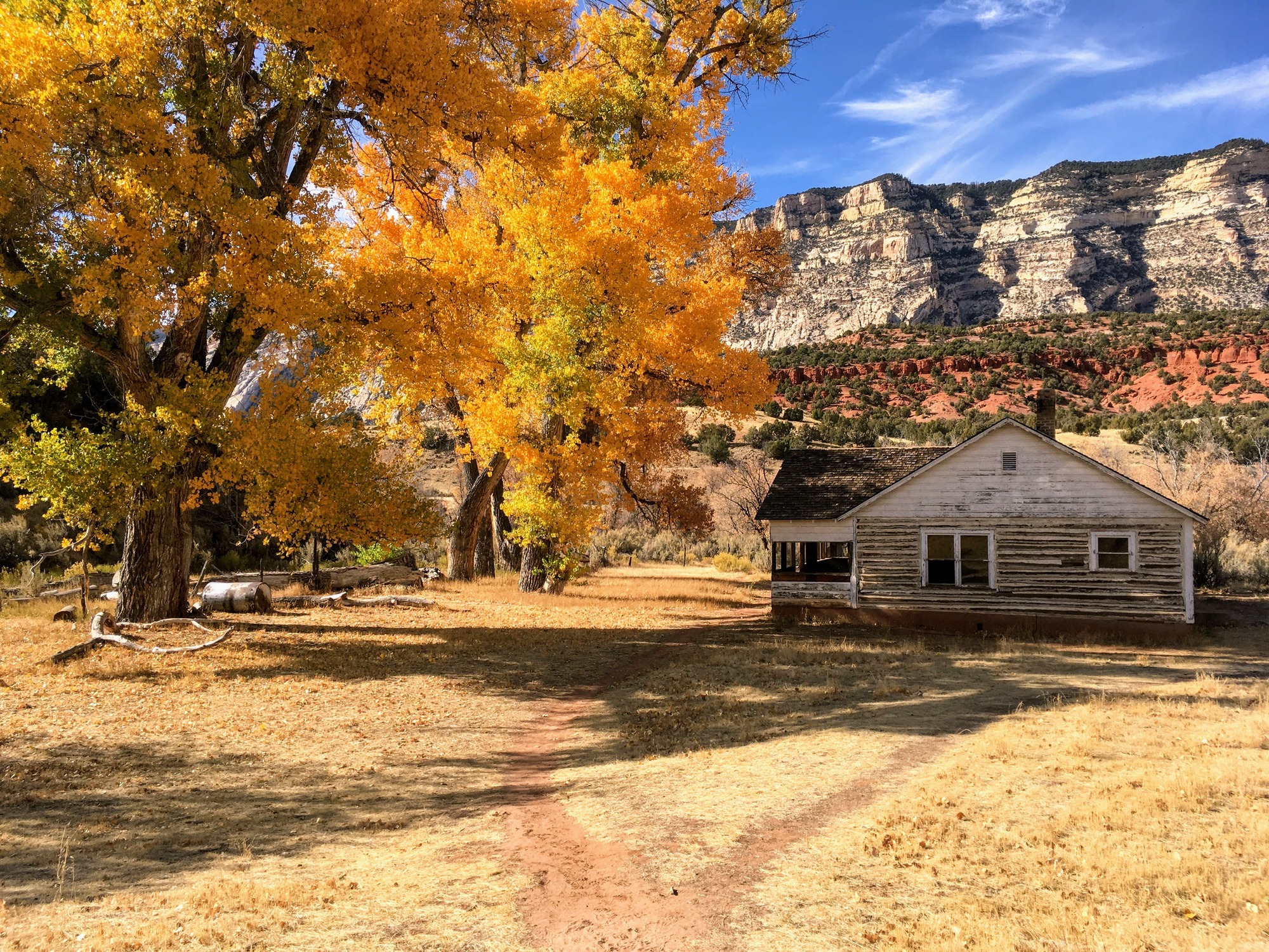 A beautiful old ranch house with a screened porch rests beneath the shade of a yellow-leafed cottonwood tree. Behind the house, several rock layers of many striking colors complete the scene. 