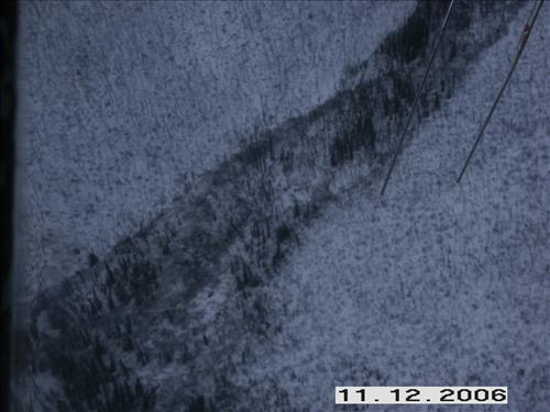 1 Yukon-Charley Rivers National Preserve Moose Survey November 2006