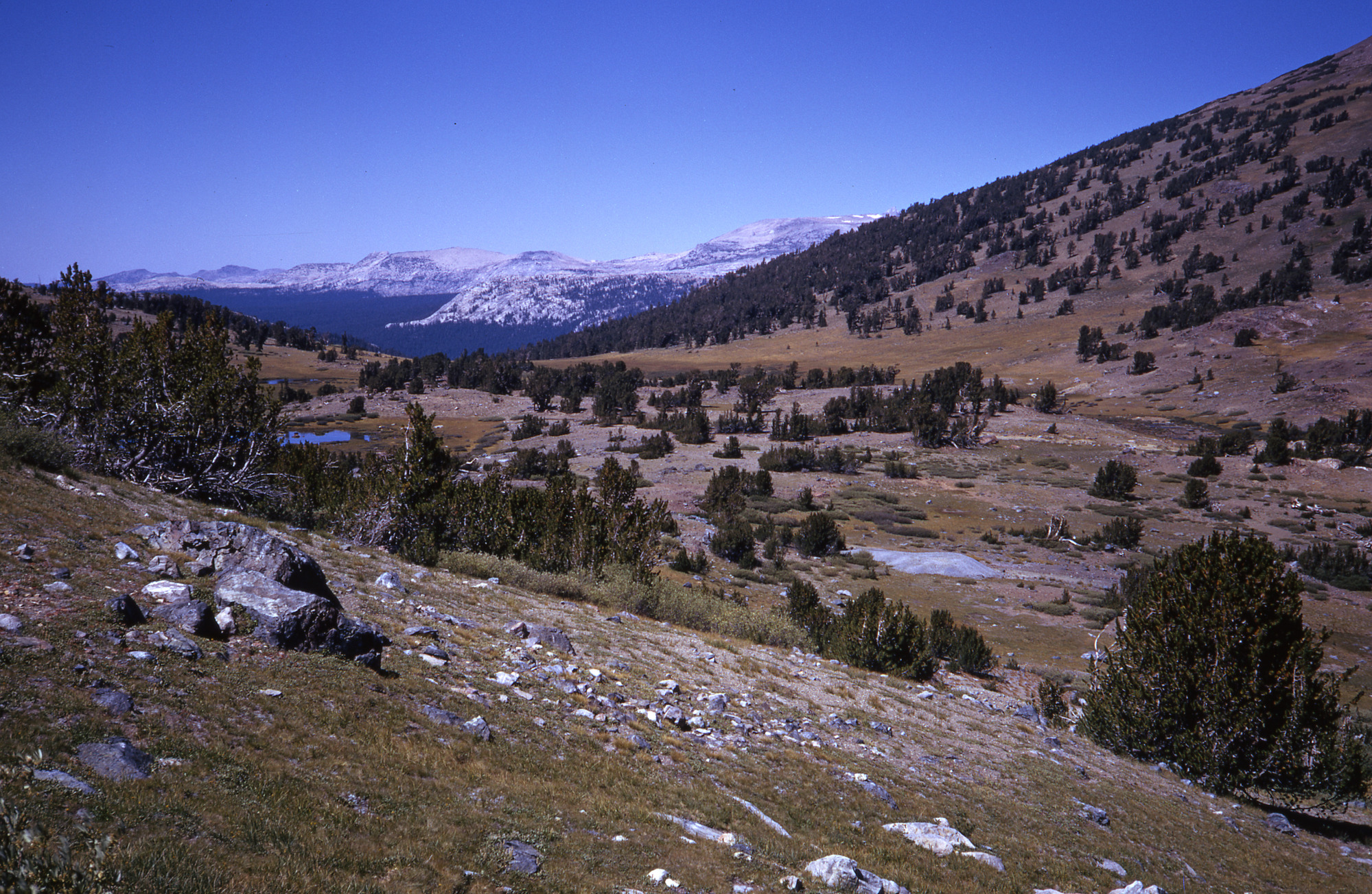 Tuolumne Meadows from Mono Pass