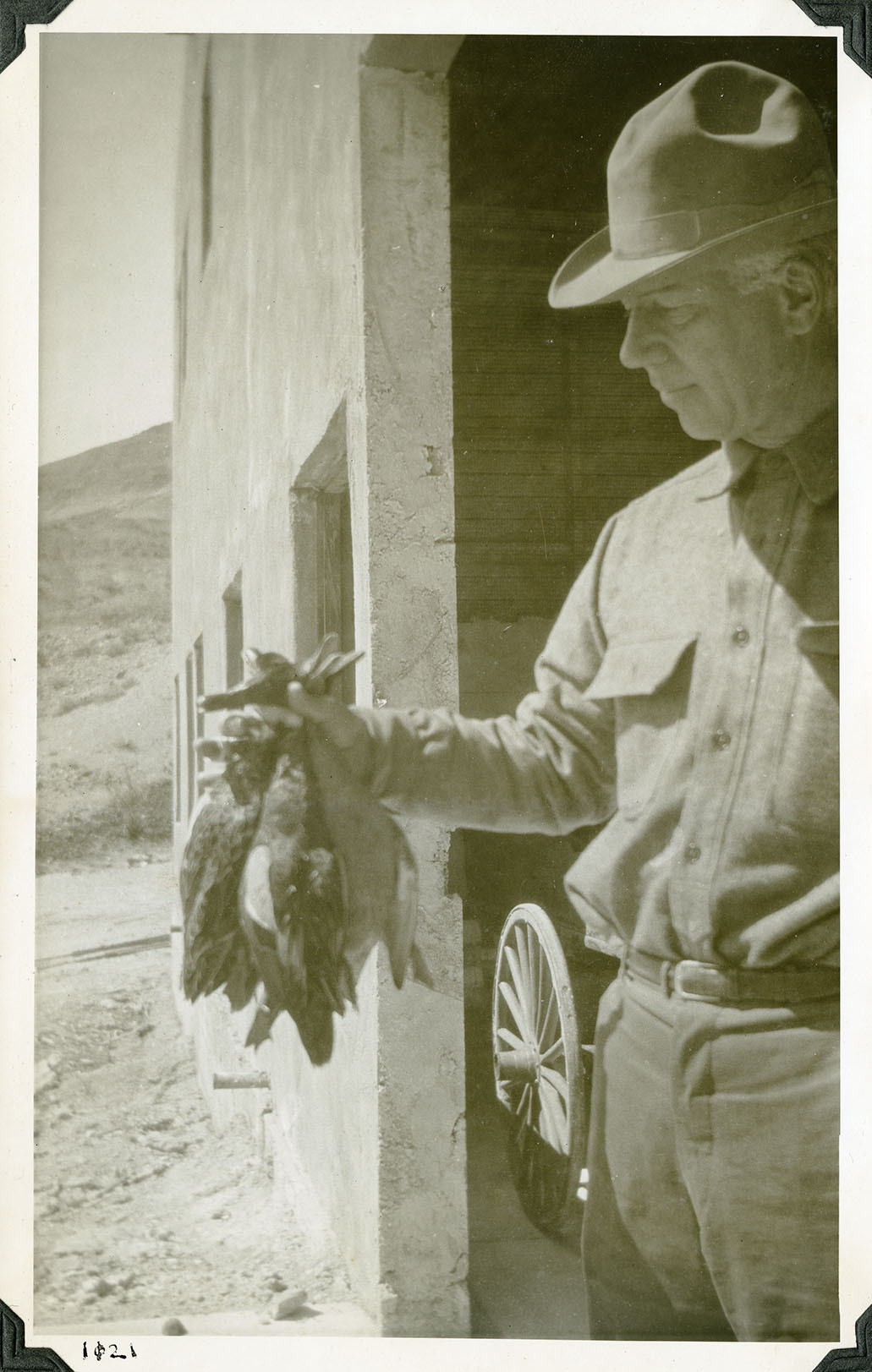 This is an historic black and white photograph from the Scotty's Castle Historic Photograph Collection, Death Valley National Park of a middle-aged man holding several dead ducks by the neck. Man has peaked cowboy had, buttoned shirt, and jeans. He is standing in large open doorway of large building. Wagon wheel behind man inside building. Number in black ink in lower left corner.