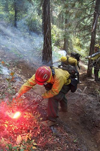 Redwood wildfire, Sequoia and Kings Canyon National Parks, October 2002