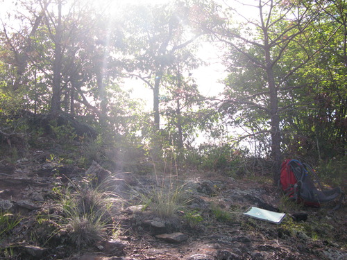 GRSM Accuracy Assessment. Plot Code: GRSM_AA_0085_3