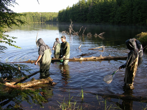 Gathering dragonfly larvae data for the mercury level project at PIRO.