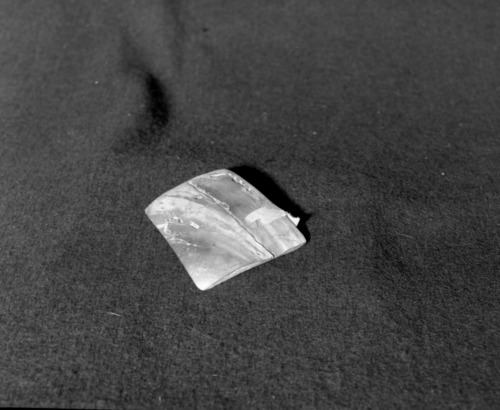 Marie Rozier Collection, Catalog No. 79. Object: Miwok abalone shell pendant. Dimensions: 3 1/2". Materials: Abalone shell. Collection History: Gift of Mrs. Berry. Photographed by Michael Dixon in December 1982. Catalogued by Craig Bates and Barbara Beroza. Yosemite Collections, National Park Service.