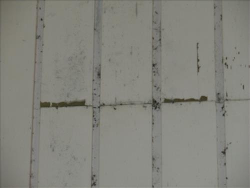 FOFR REC FEE Projects