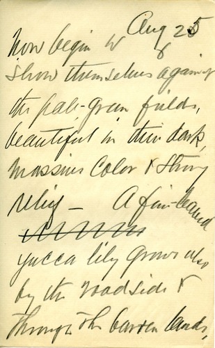 Journal, Dorr, August 25 p.6