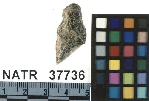 NATR   37736 -- Untyped projectile point