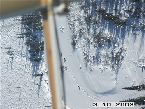 1 Yukon-Charley Rivers National Preserve Wolf Capture 2003