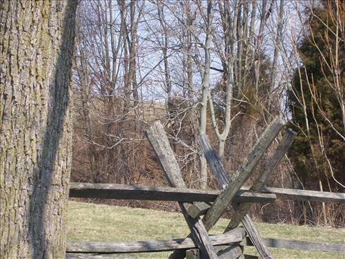 Clear vegetation from battlelines, viewsheds and eathworks Antietam NB Sharpsburg MD